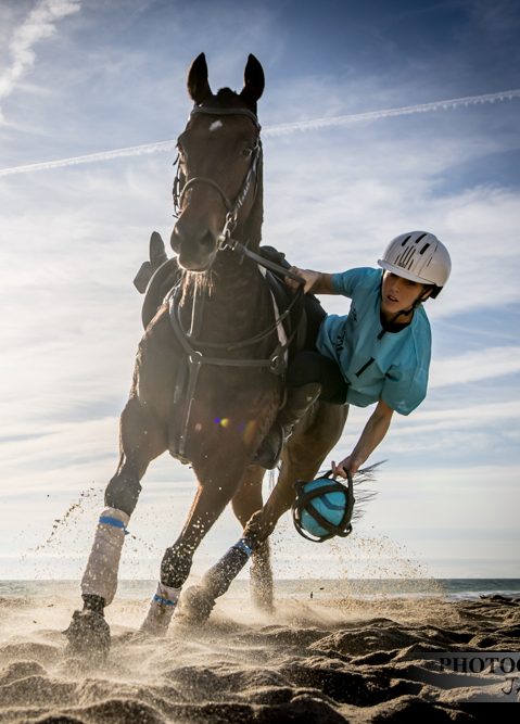 Torneo de horseball Torneo de horseball