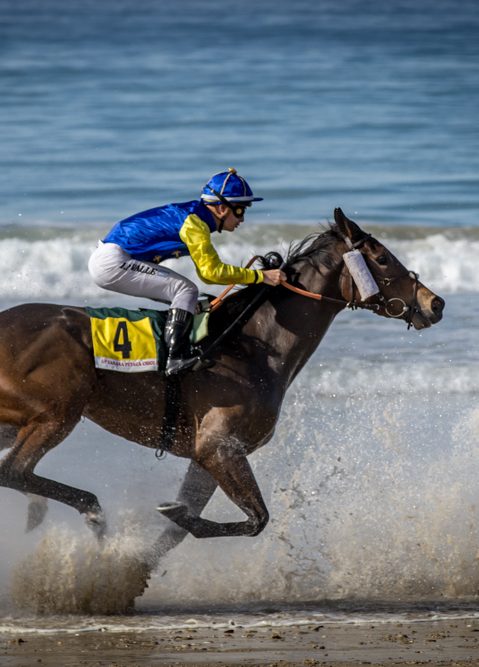 Carreras de caballos Carreras de caballos